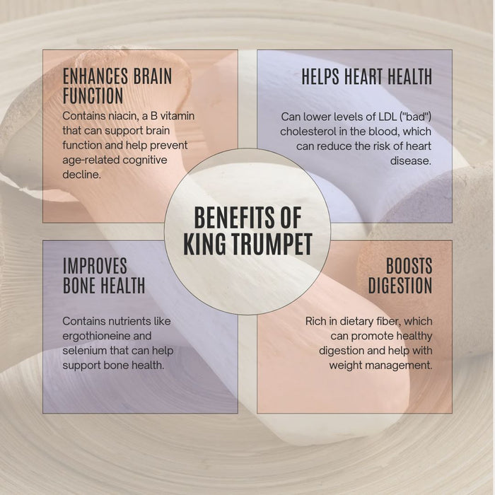 Bulk Organic King Trumpet Powder