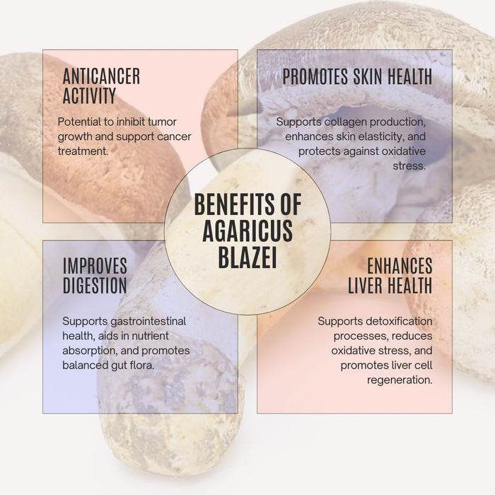 Organic Himematsutake Agaricus Blazei Mushroom Powder