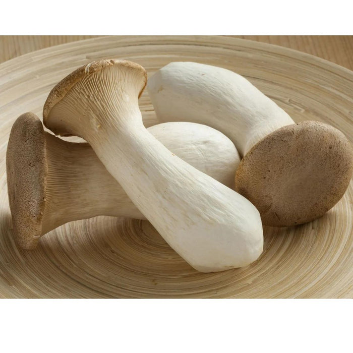 Bulk Organic King Trumpet Powder