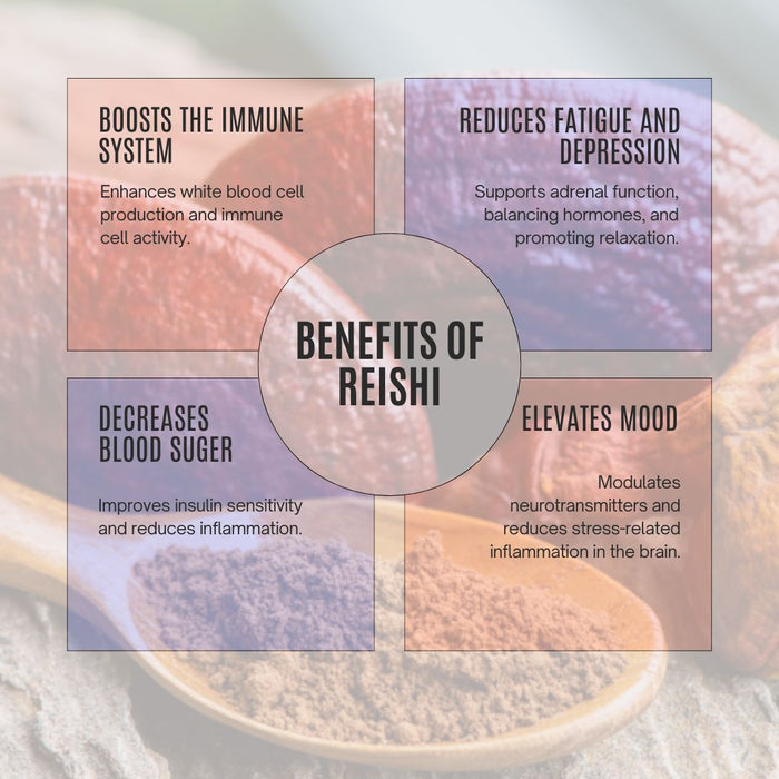 Bulk Organic Reishi Extract Powder