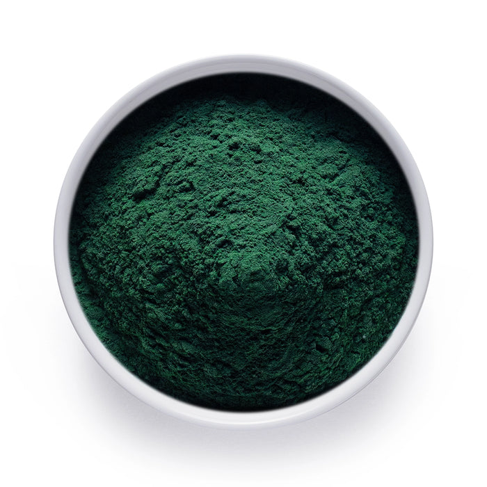 Bulk organic spirulina powder in a white bowl, deep green superfood powder for wholesale smoothies, beverages, and nutrition blends.