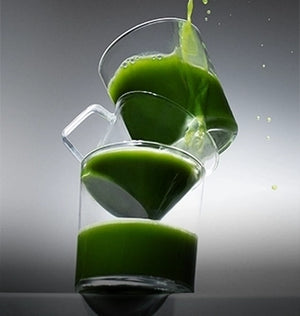 Ceremonial grade matcha pouring into glass cups – Dolce Superfoods bulk wholesale matcha