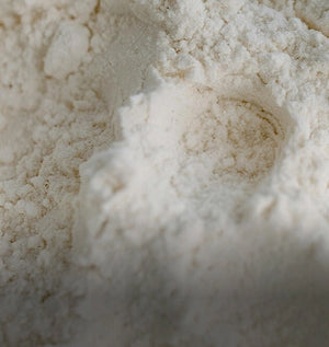 Organic coconut water powder close-up – Dolce Superfoods bulk wholesale ingredient