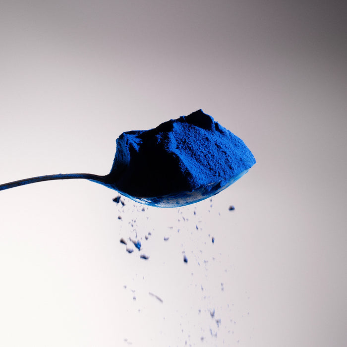 Cận cảnh bột phycocyanin xanh lam trên thìa kim loại.