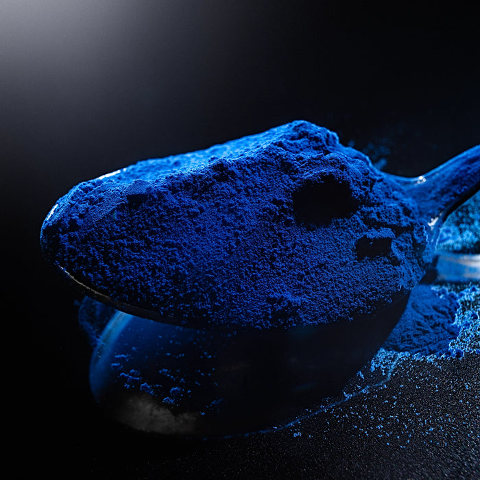 Dolce Superfoods blue spirulina powder on spoon against dark background