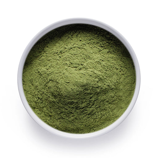 Bulk organic barley grass powder in a white ceramic bowl, wholesale superfood ingredient by Dolce Superfoods