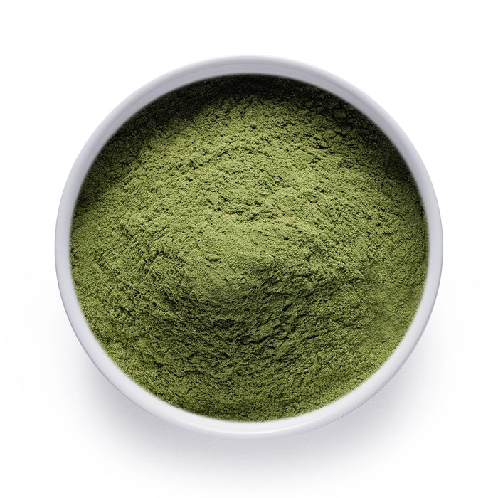 Bulk organic barley grass powder in a white ceramic bowl, wholesale superfood ingredient by Dolce Superfoods