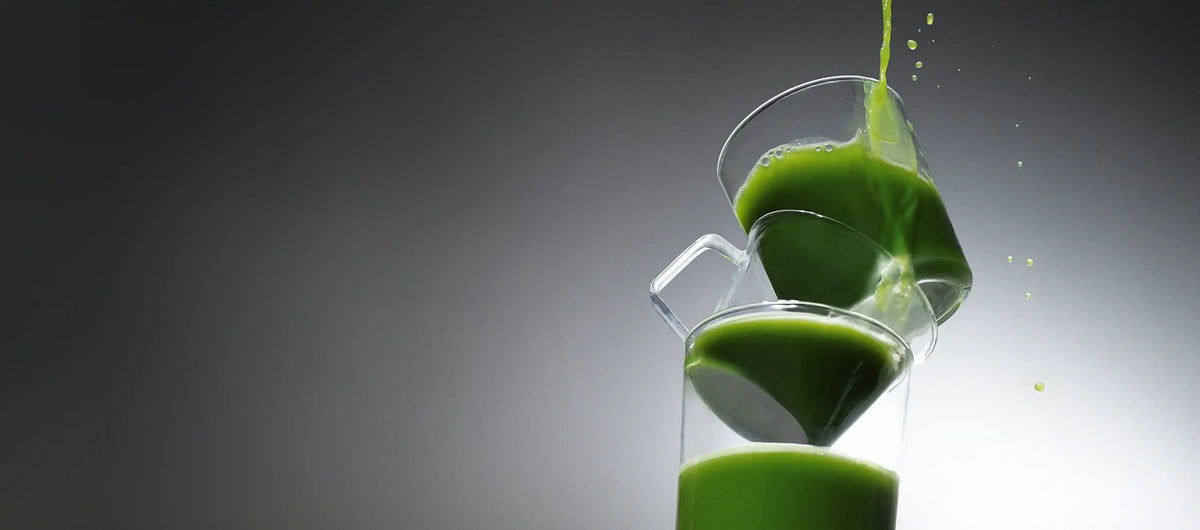 Organic ceremonial grade matcha pouring into a stack of clear glass mugs, with bright green droplets splashing against a grey gradient background
