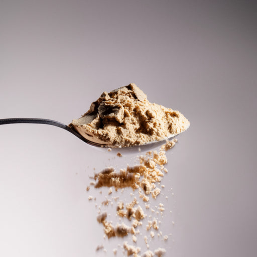 Spoon holding Dolce Superfoods organic chaga mushroom powder with fine powder falling below