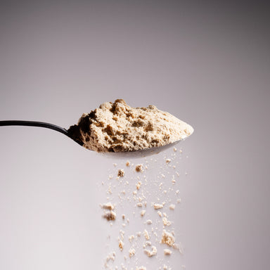 Spoon holding Dolce Superfoods King Trumpet mushroom powder with fine powder falling below