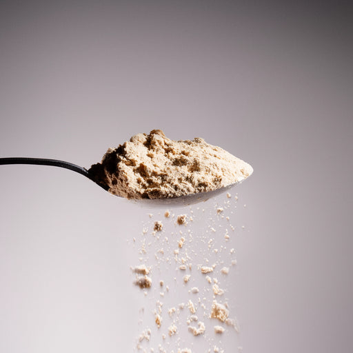 Spoon holding Dolce Superfoods King Trumpet mushroom powder with fine powder falling below