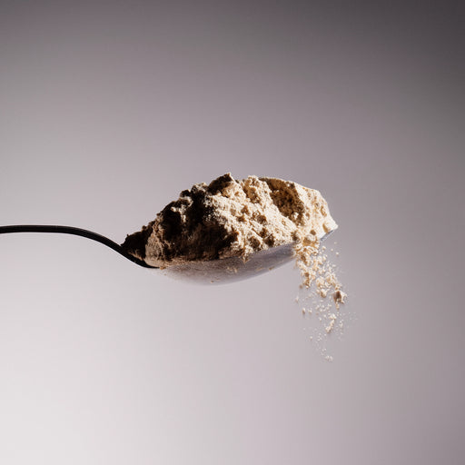 Spoon holding Dolce Superfoods organic Lions Mane mushroom powder with fine powder falling below