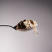 Spoon holding Dolce Superfoods organic Lions Mane mushroom powder with fine powder falling below