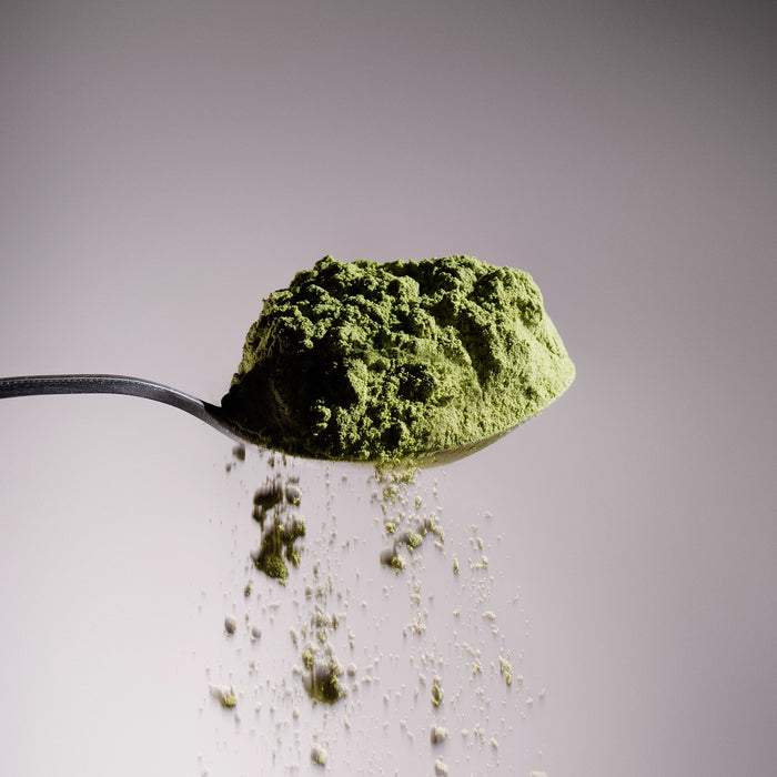 Dolce Superfoods moringa powder on spoon against light background