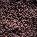 Dolce Superfoods organic cacao nibs close-up texture on dark background