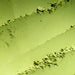 Dolce Superfoods organic ceremonial matcha powder texture close-up