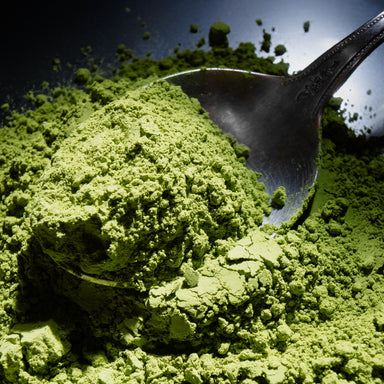 Dolce Superfoods organic ceremonial matcha powder on metal spoon