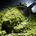 Dolce Superfoods organic ceremonial matcha powder on metal spoon