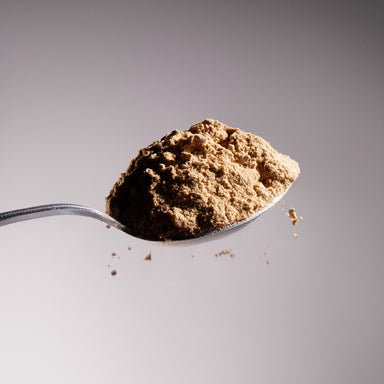 Spoon holding organic reishi mushroom powder with fine powder falling below