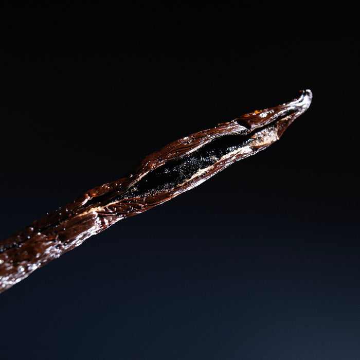 Dolce Superfoods Madagascar vanilla bean close-up detail