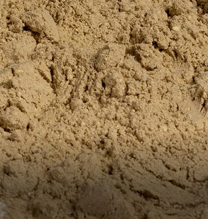 Lion's Mane mushroom powder close-up – Dolce Superfoods bulk wholesale ingredient