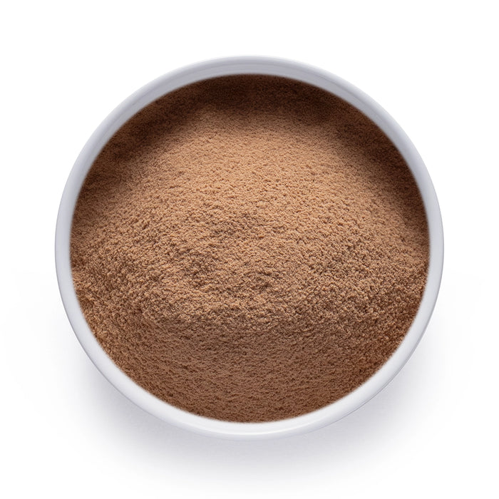 Organic Antrodia mushroom powder in a white bowl, finely milled functional mushroom powder for bulk and wholesale wellness formulations.