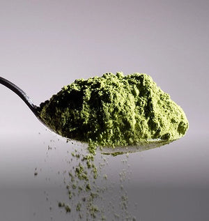 Spoonful of organic matcha powder – Dolce Superfoods wholesale bulk ingredients