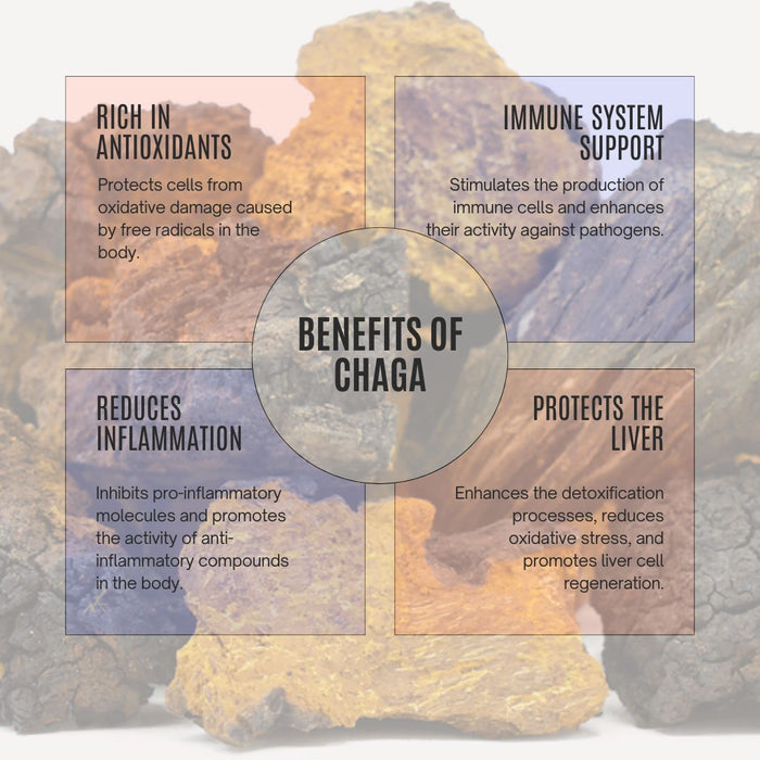 Organic Bulk Chaga Extract Powder