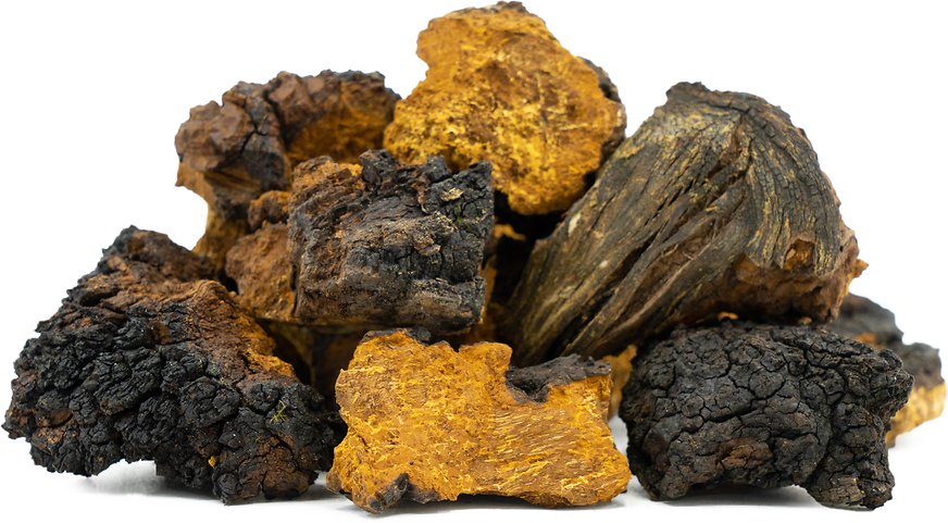 Organic Bulk Chaga Extract Powder